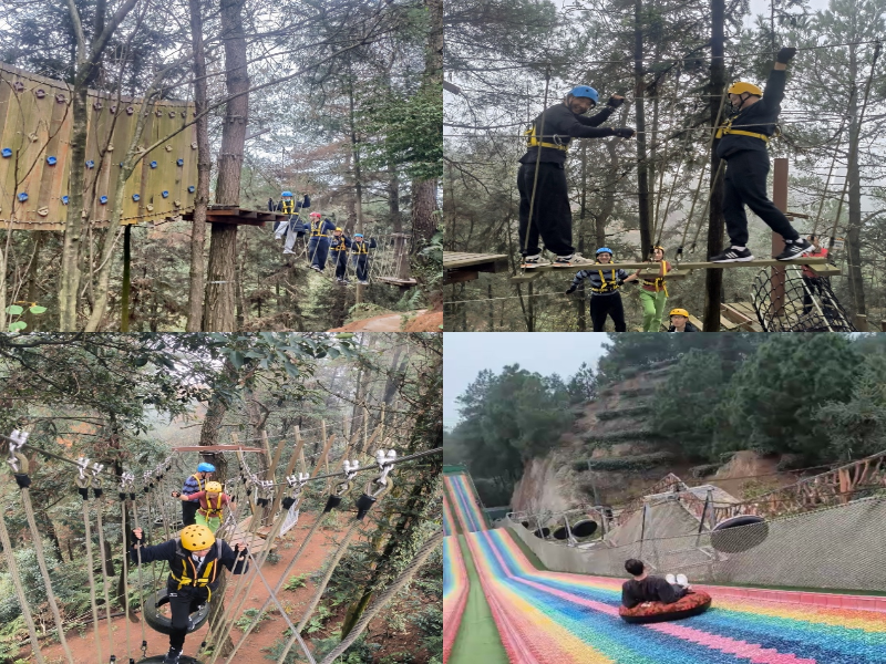 Ajev_1702864223747042852.png 图片1.png